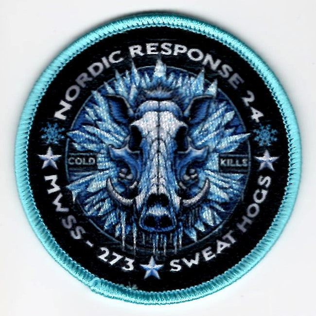 MWSS-273 *DET NORDIC* (Lt Blue)