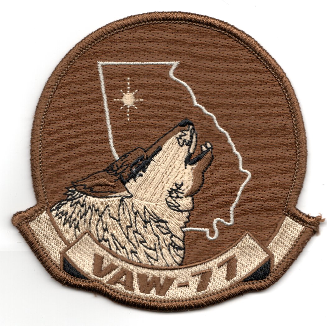 VAW-77 *STAR in STATE* Sqdn (Desert)