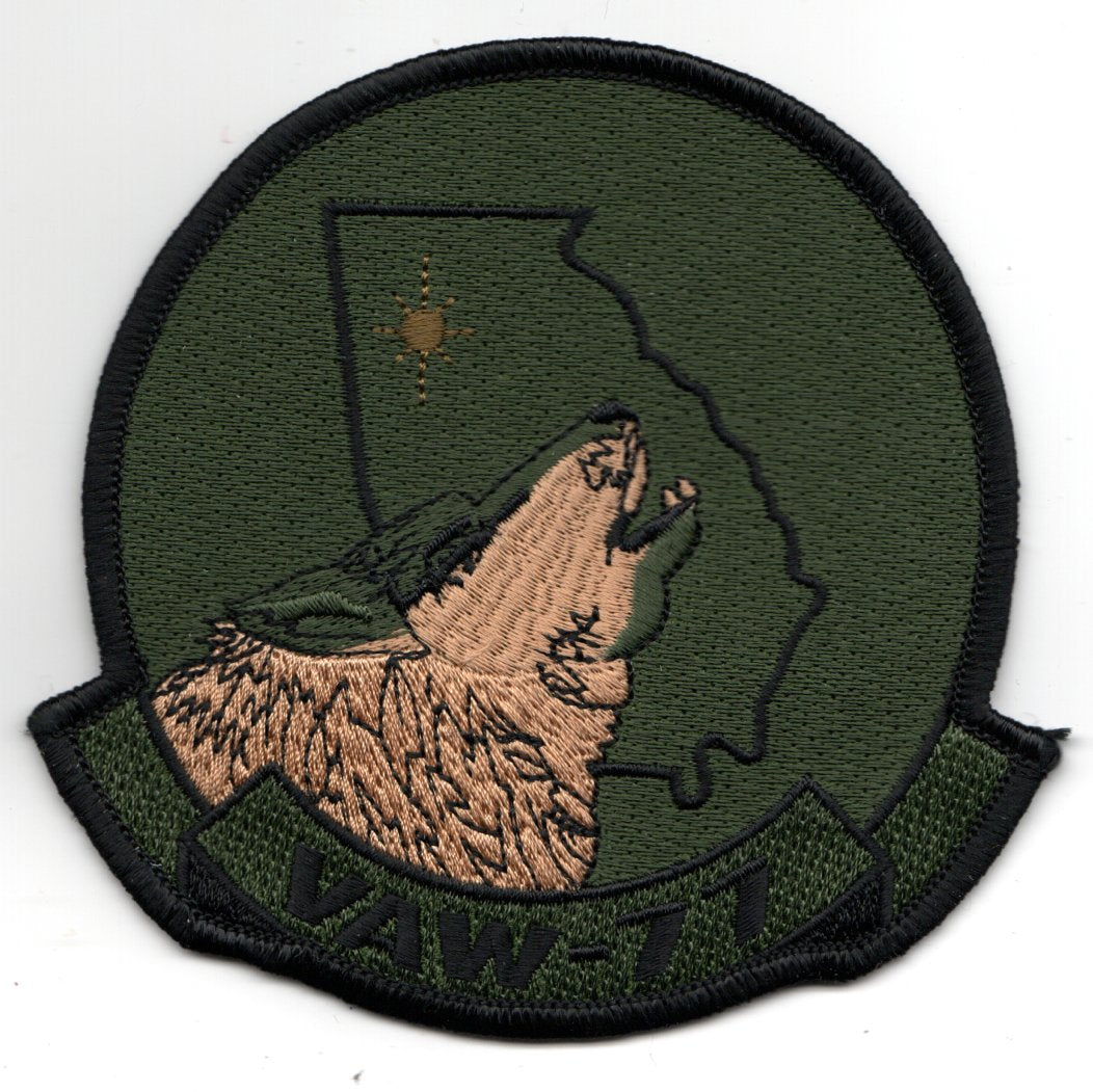 VAW-77 *STAR in STATE* Sqdn (Subd)