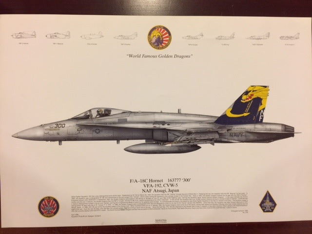 VFA-192 F/A-18C LITHO