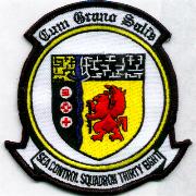 VS-38 Squadron Patch (White)