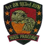 1-183 AVN "Aves" Patch