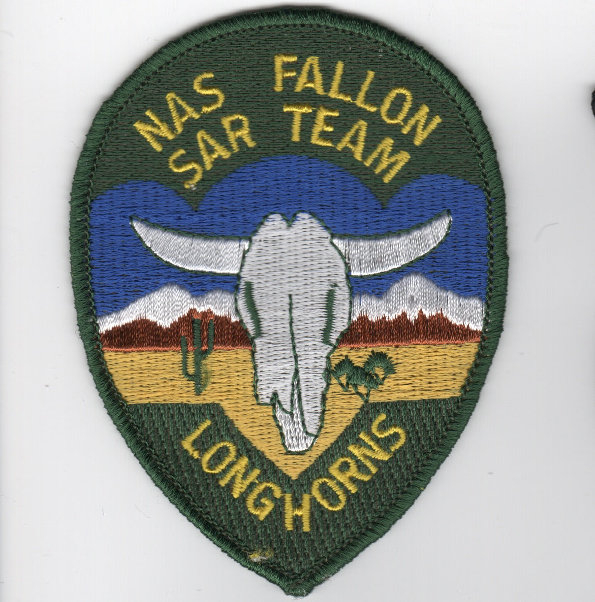 NAS Fallon SAR Team Patch
