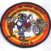 VP-16/CAC-5 "Looney Tunes" Patch