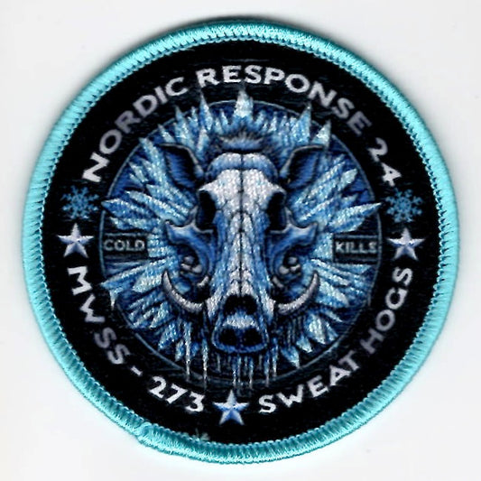MWSS-273 *DET NORDIC* (Lt Blue)