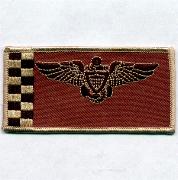 VFA-211 Pilot Nametag (Desert)
