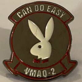 Lapel Pin: VMAQ-2