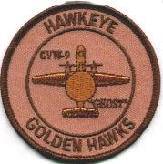 VAW-112 Aircraft Patch (Desert)