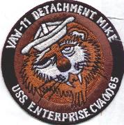 VAW-11 Det "MIKE" Patch (Brown)