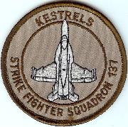 VFA-137 A/C Patch (Des/Rnd)