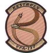 VFA-137 Squadron Patch (Lg-Des)