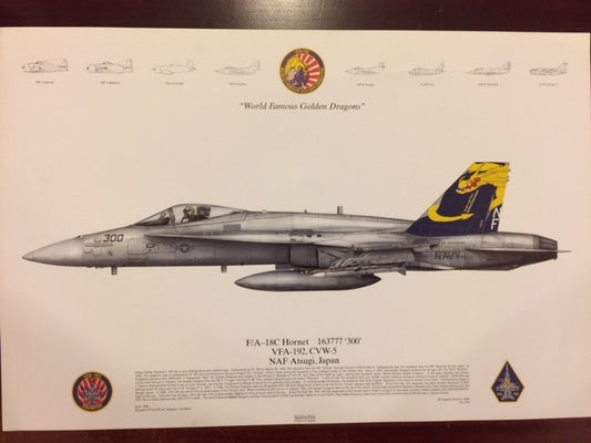VFA-192 F/A-18C LITHO