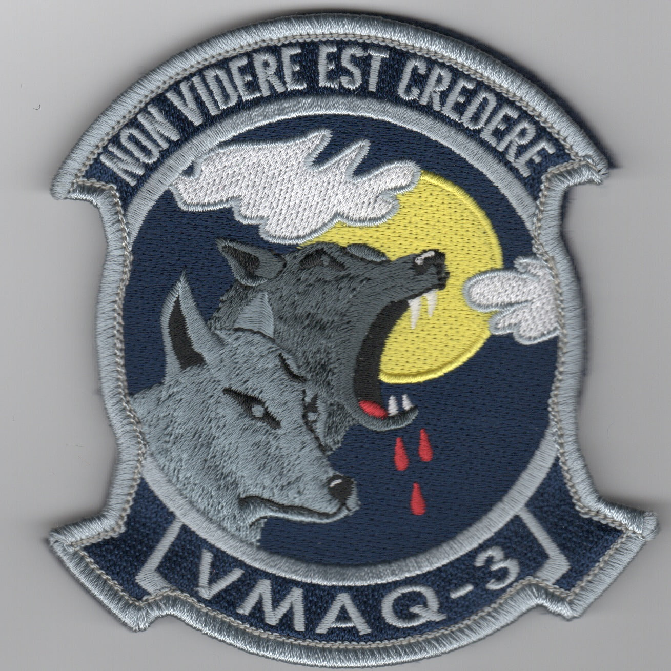 VMAQ-3 Deployed BLUE Patch Set (8)