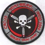 VP-16/CAC-12 "Skull" Patch