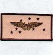 VF-213 RIO Nametag (Desert)