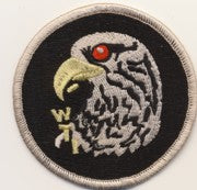 USMC WTI Patch (Letters)