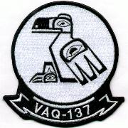 VAQ-137 Squadron Patch (White)