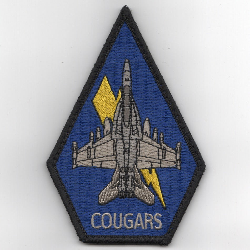VAQ-139 E/A-18G 'Coffin' (Blue)