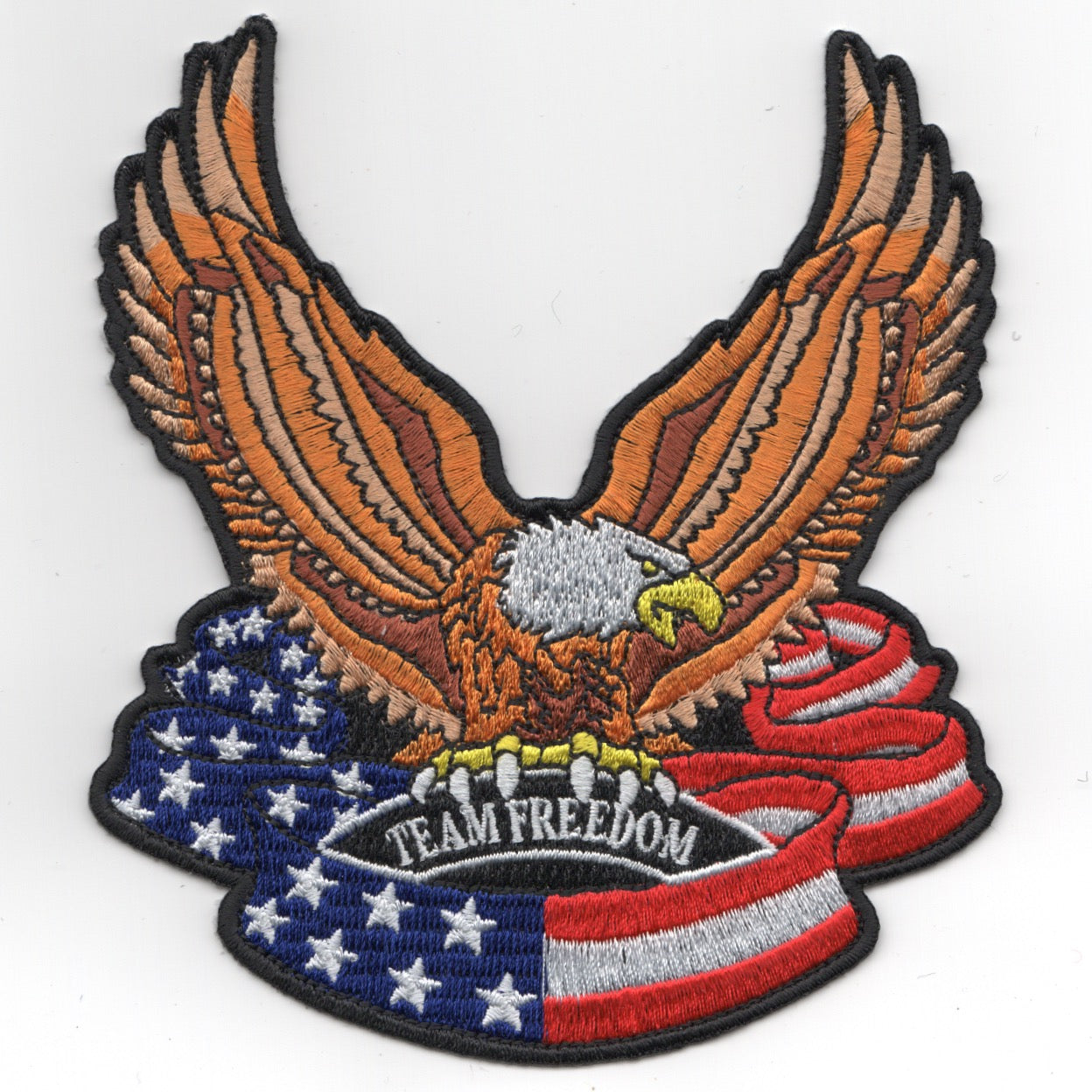 VAQ-140 2019 'Team Freedom' Cruise